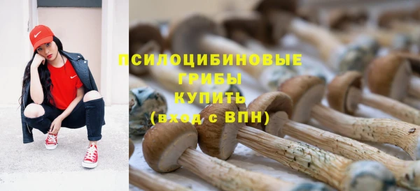 a pvp Баксан