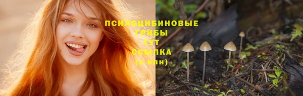 a pvp Баксан
