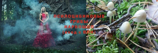 a pvp Баксан