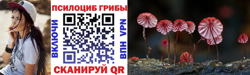 Псилоцибиновые грибы Psilocybe  купить закладку  Шиханы 